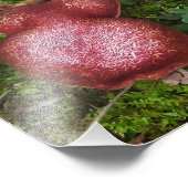 Marbled Twins Fotodruck (Ecke)