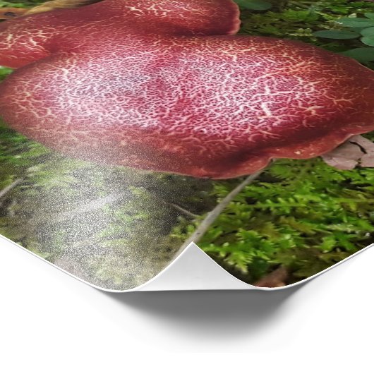 Marbled Twins Fotodruck (Ecke)