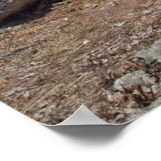 Marblehead Lighthouse Poster (Ecke)