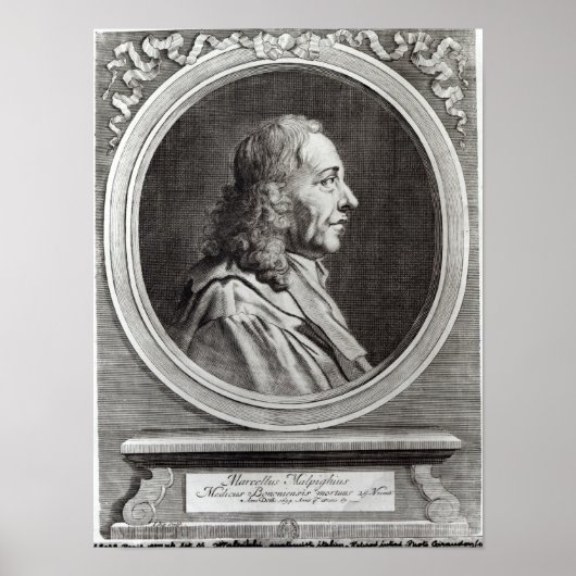 Marcello Malpighi alt 67.1694 Poster (Vorne)