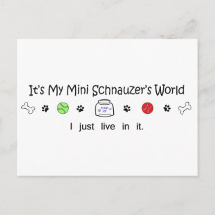 march15b15MiniSchnauzer.jpg Postkarte