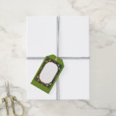 Märchen Libelle Geschenkanhänger (Mit Garn)