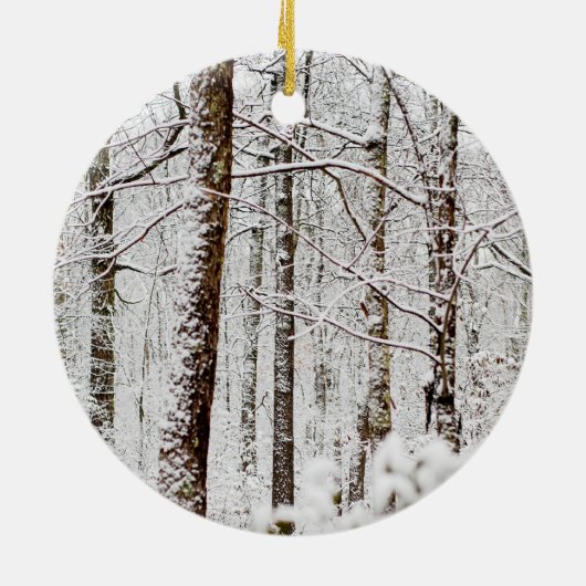 Märchenland Snowy Pocono Keramik Ornament (Hinten)