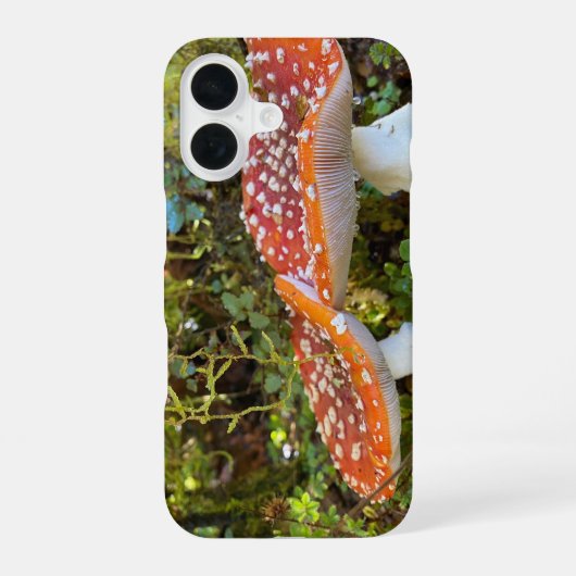 Märchenpilze iPhone 16 Hülle (Rückseite)