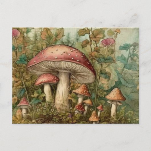 Märchenpilze Postkarte (Vorderseite)