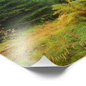 Märchenwald Fotodruck (Ecke)