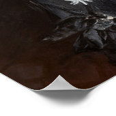 Marchesa Luisa Casati by Giovanni Boldini Poster (Ecke)