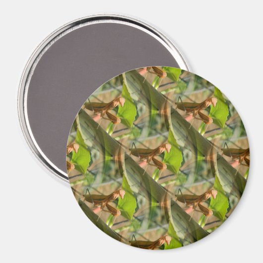 Marchin' On... Magnet (Vorderseite/Rückseite)