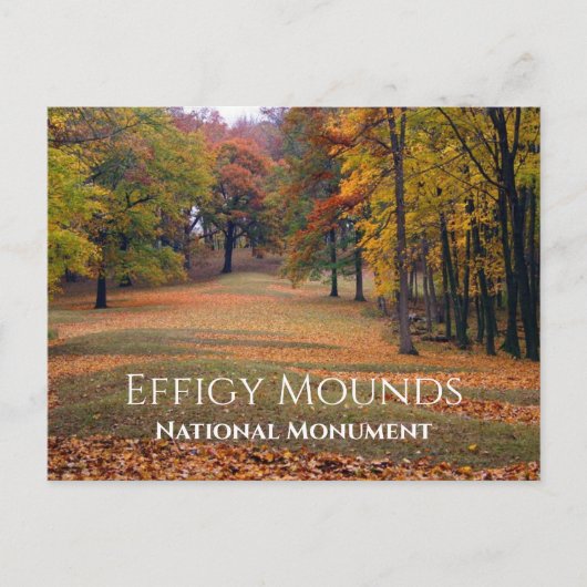 Marching Bear Mound, Herbst, Effigy Mounds Postkarte (Vorderseite)