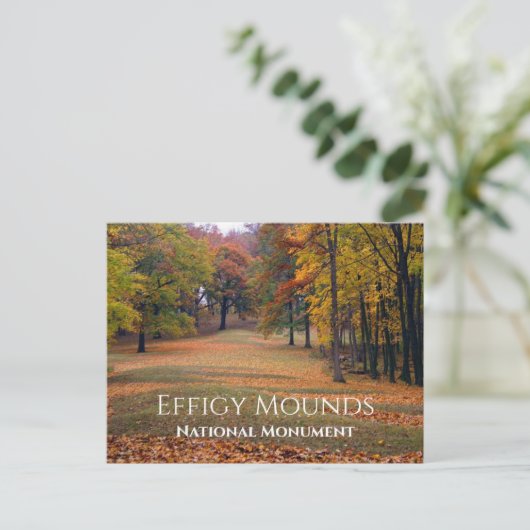 Marching Bear Mound, Herbst, Effigy Mounds Postkarte (Stehend Vorderseite)