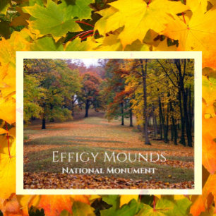 Marching Bear Mound, Herbst, Effigy Mounds Postkarte