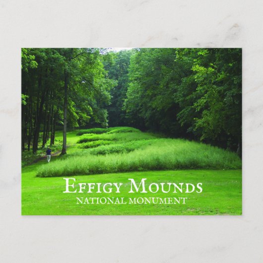 Marching Bear Mounds Group, Summer, Effigy Mounds Postkarte (Vorderseite)