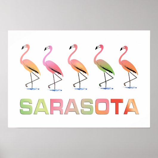 Marching Flamingos Sarasota Poster (Vorne)