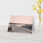 Marco Bridge, Marco Island, Florida, 1930er Karte (Gelbe Blume)
