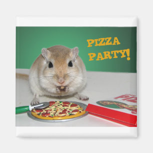 Marco das Gerbil's Pizza Party Magnet