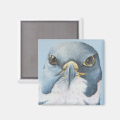 Marco, der Peregrine-Falken Magnet (Vorderseite/Rückseite)
