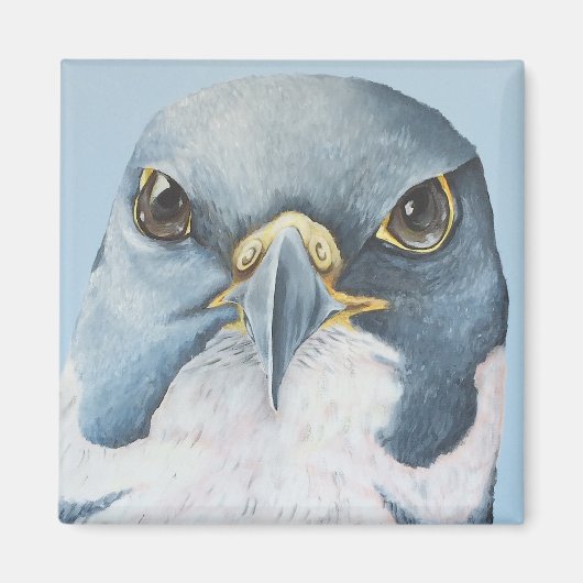 Marco, der Peregrine-Falken Magnet (Vorne)