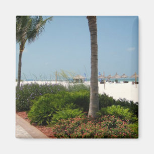 "Marco Insel, FL " Magnet