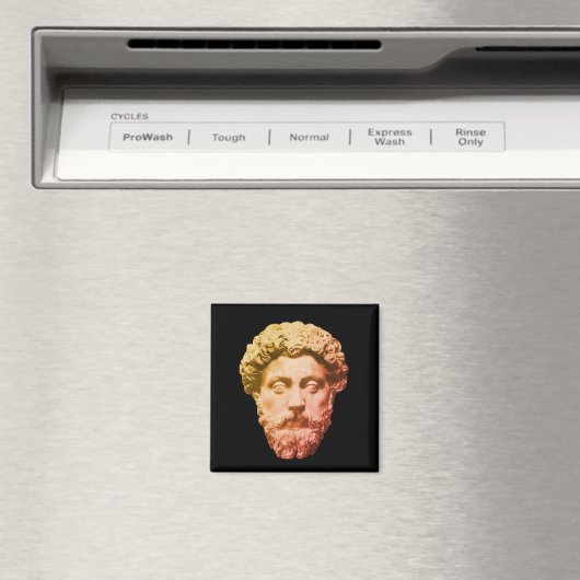 Marcus Aurelius Magnet (In Situ (Geschirrspüler))