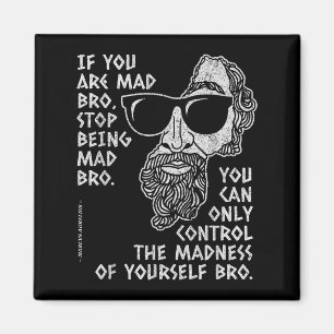 Marcus Aurelius Stoic Philosopher Ancient Roman Jo Magnet