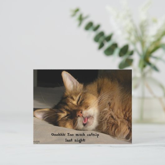 Marcus hat einen Hangover Postkarte (Stehend Vorderseite)