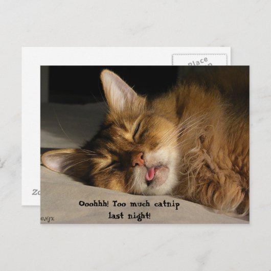 Marcus hat einen Hangover Postkarte (Vorne/Hinten)