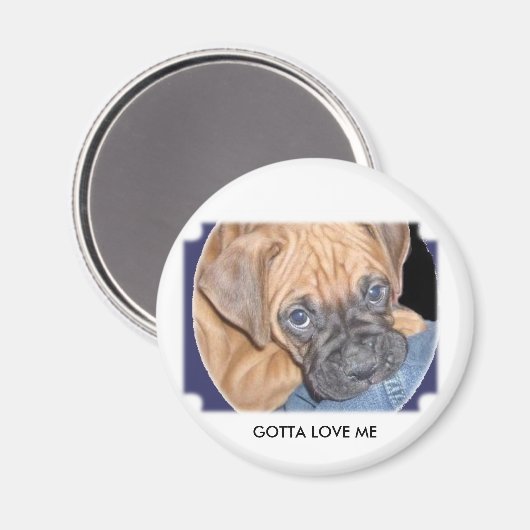 Marcyhund hier, GOTTA LIEBE ME Magnet (Vorderseite/Rückseite)