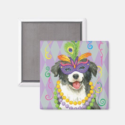 Mardi Gras Border Collie Magnet (Vorderseite/Rückseite)