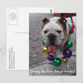 Mardi Gras Bulldog Postkarte (Vorne/Hinten)