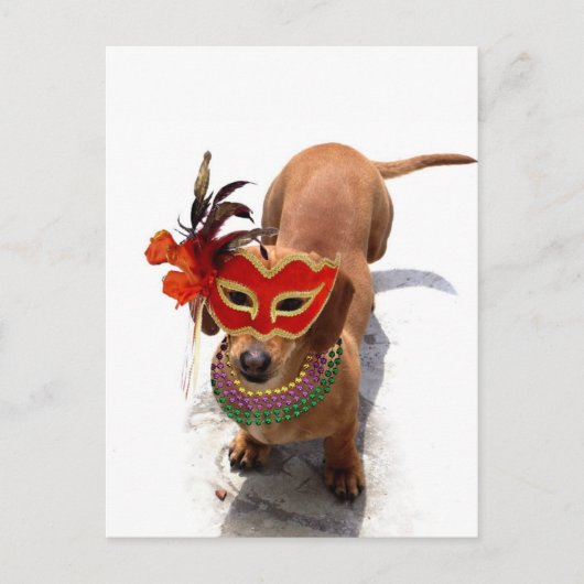 Mardi Gras Dachsund Hund Postkarte (Vorderseite)