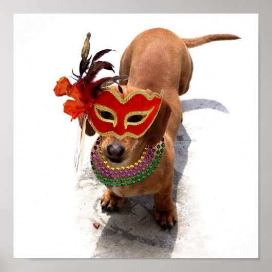 Mardi Gras Dackel Poster (Vorne)