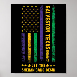 Mardi Gras Galveston Texas Fleur-de-lis American F Poster