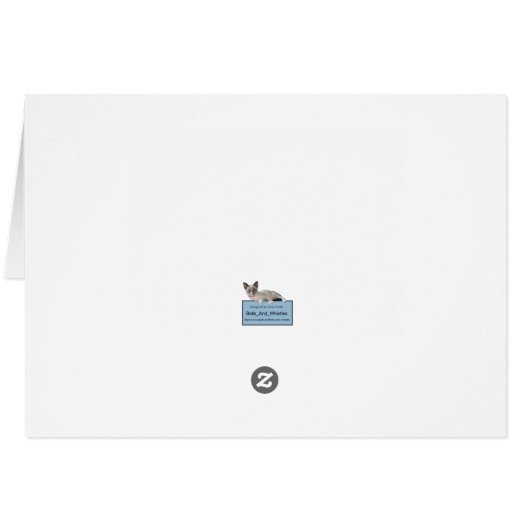 Mardi Gras Kittens Grußkarte (Rückseite Horizontal)