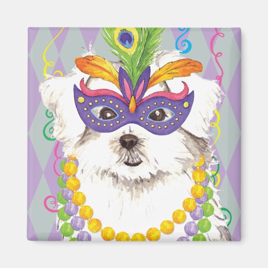 Mardi Gras Maltese Magnet (Vorne)