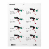 MARDI GRAS MASQUERADE (Vorne)