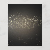 "Mardi Gras Party Einladung Flyer (Hinten)