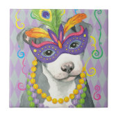 Mardi Gras Pit Bull Terrier Fliese (Vorderseite)