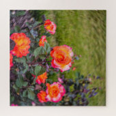 Mardi Gras Rose mit einer Wendung Puzzle (Horizontal)