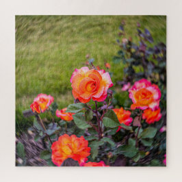 Mardi Gras Rose mit einer Wendung Puzzle
