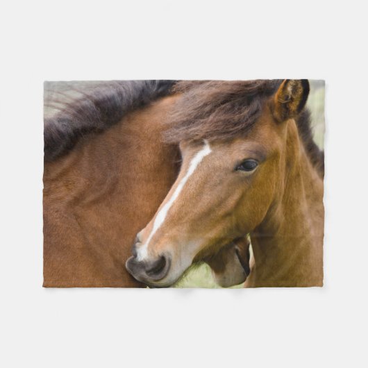 Mare and Colt Fleecedecke (Vorderseite (Horizontal))