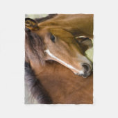 Mare and Colt Fleecedecke (Vorderseite)