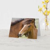 Mare and Colt Karte (Gelbe Blume)