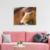 Mare and Colt Leinwanddruck (Insitu (Wohnzimmer))