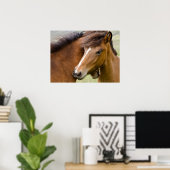 Mare and Colt Poster (Heimbüro)