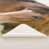 Mare and Colt Sherpadecke (3/4)