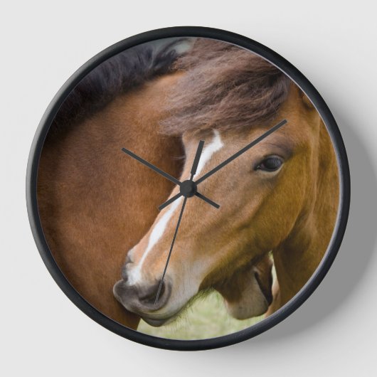 Mare and Colt Uhr (Vorderseite)