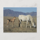 Mare and Foal (Pferde) Postkarte (Vorderseite)