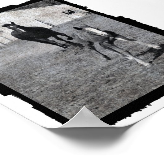 Mare and Foal Poster (Ecke)