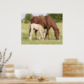 Mare and Foal Poster (Küche)