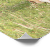 Mare and Foal Poster (Ecke)